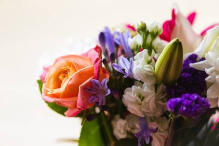 The Do’s & Don’ts of Mixing Flowers Together