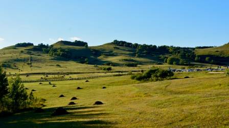 Understanding the Nature of Grasslands