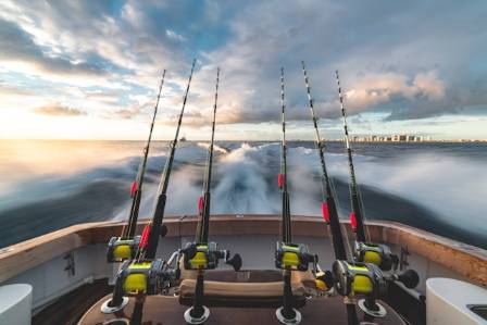 Responsible Fishing: Eco-Friendly Approaches for Nature Lovers
