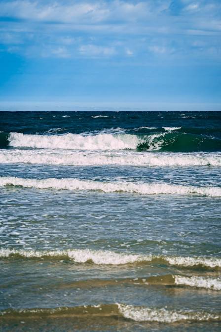 The Frothy Adventures of Waves