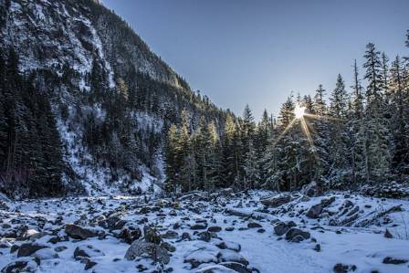 Top 5 National Forests to Explore This Winter